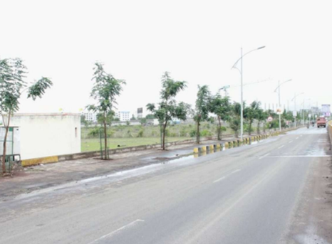 BRT corridor plantation, Pimpri Chinchwad